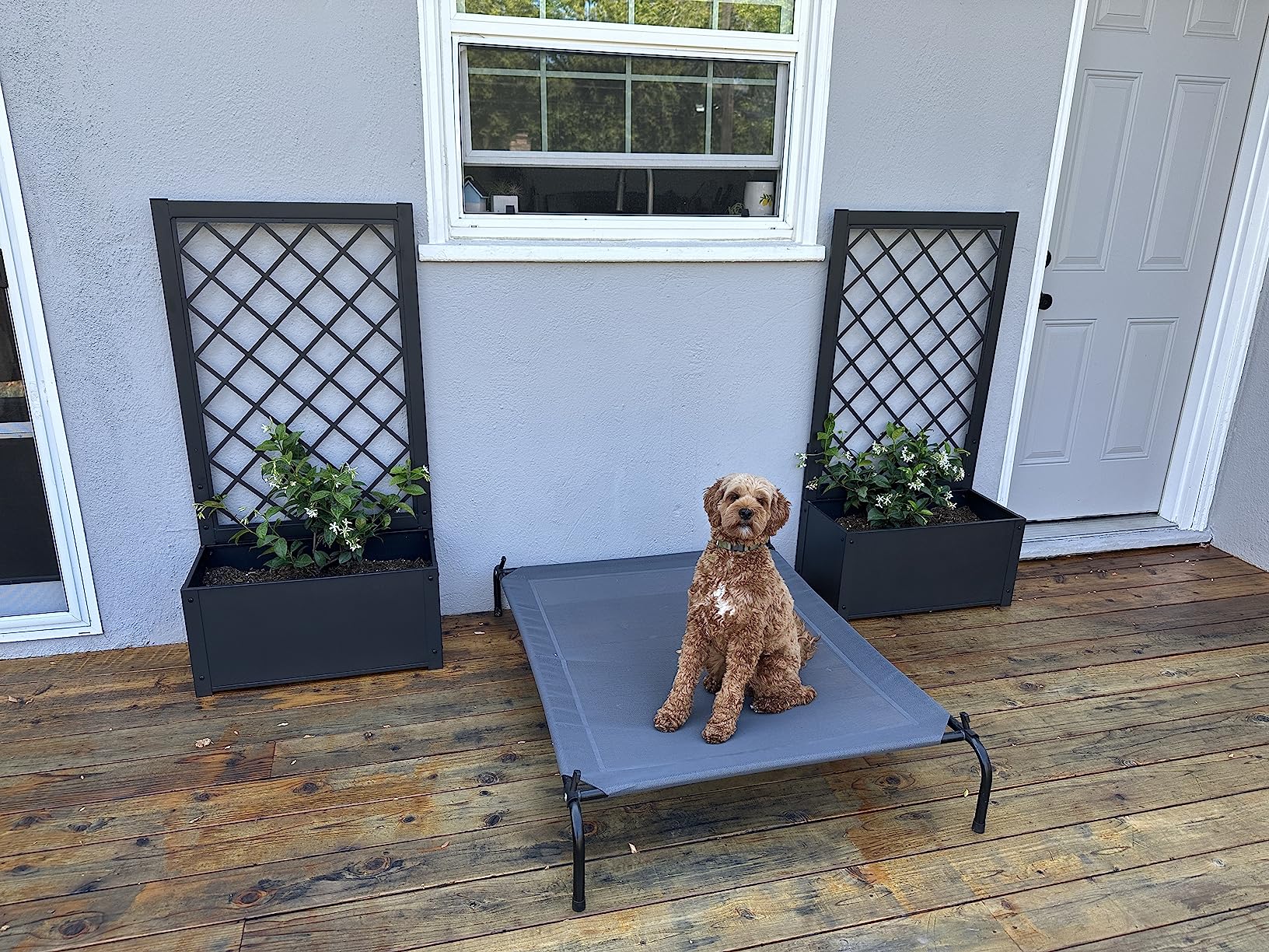 Giantex Raised Garden Bed with Trellis, 49" Metal Vertical Planter with Garden Trellis