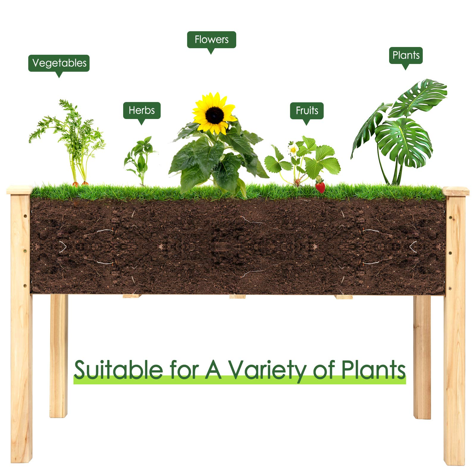 Raised Garden Bed Kit (49.5" X 23.5" X 30.0")