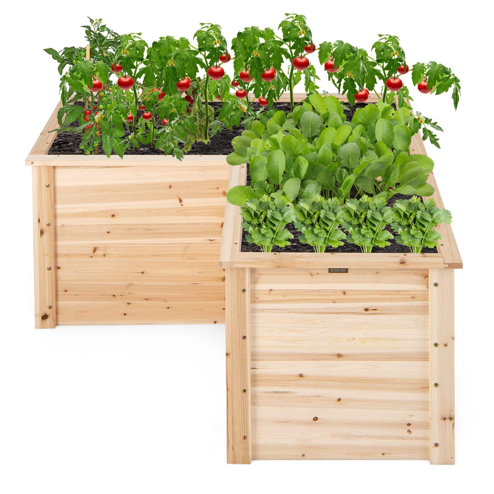 Giantex Raised Garden Bed, 47.5" x 47.5" x 24.5" Wooden Planter Box, Outdoor L-Shaped Deep Garden Bed for Sapling Flower Herb Vegetable Fruit