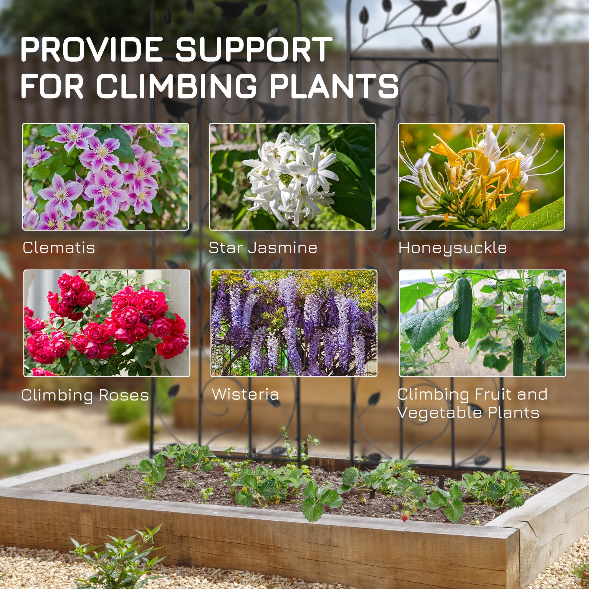 Outsunny 2 Pack Garden Trellis for Climbing Plants, Outdoor Metal Grid Panels with Birds and Leaves, for Roses, Vine Flower, 59" Tall