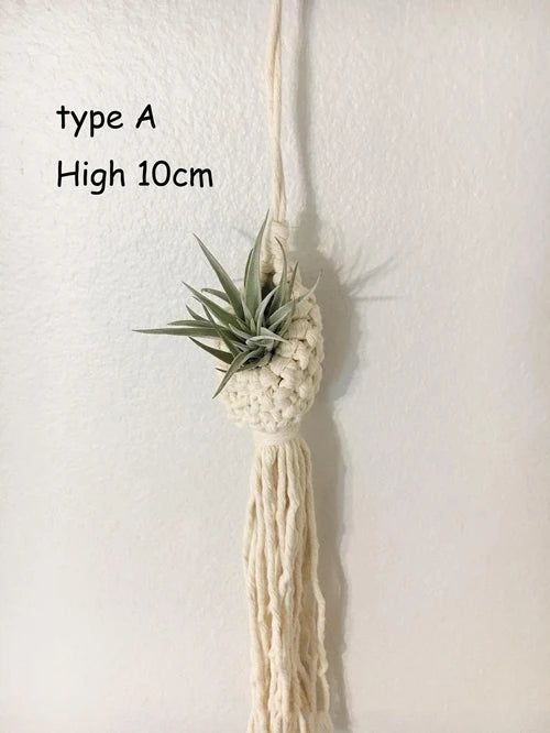 4.33E+13