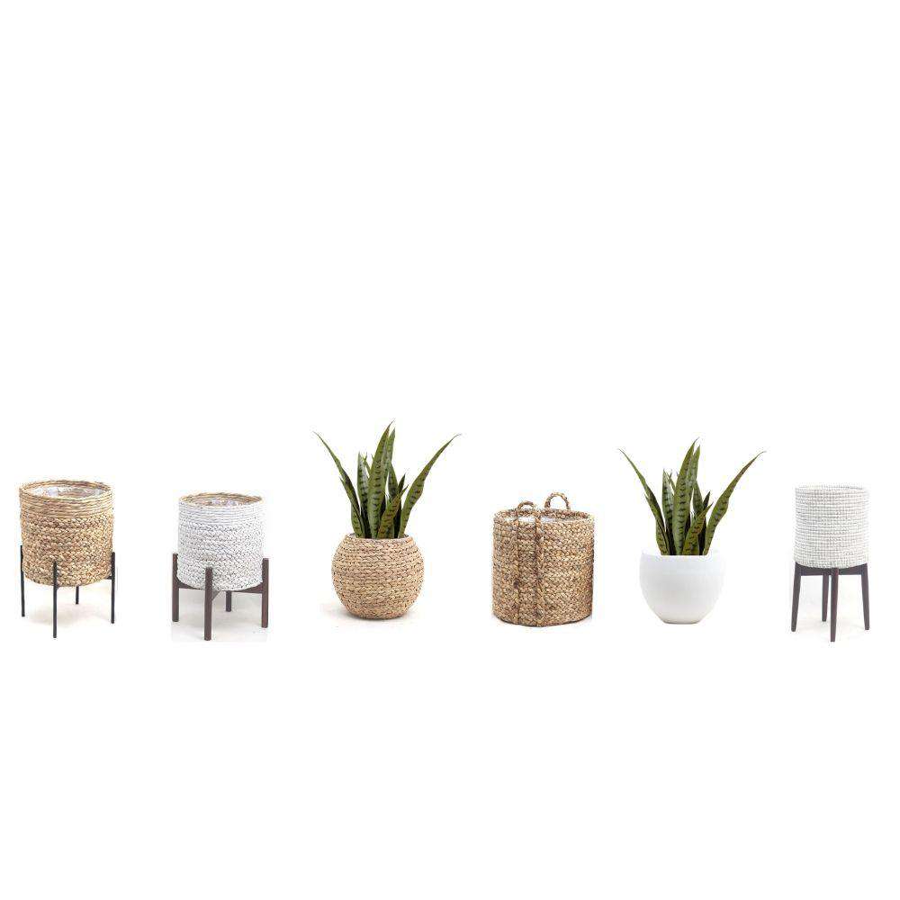 Jose Artificial Snake Sansevieria Dark Green Potted Plant 26"