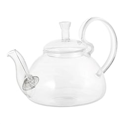 20 oz/600 ml Glass Teapot Removable Metal Spout Hanging Spring - Free Shipping
