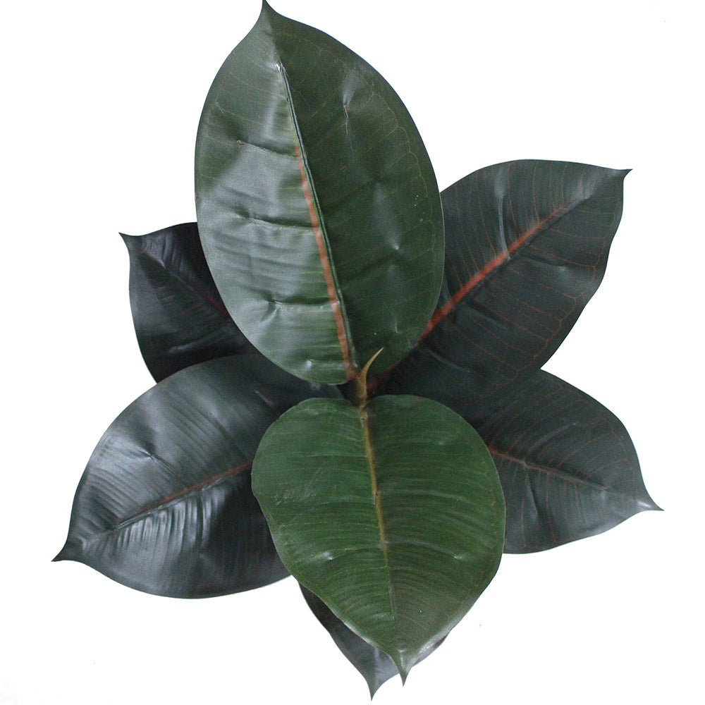 Mongui Artificial Rubber Potted Plant 1.2'