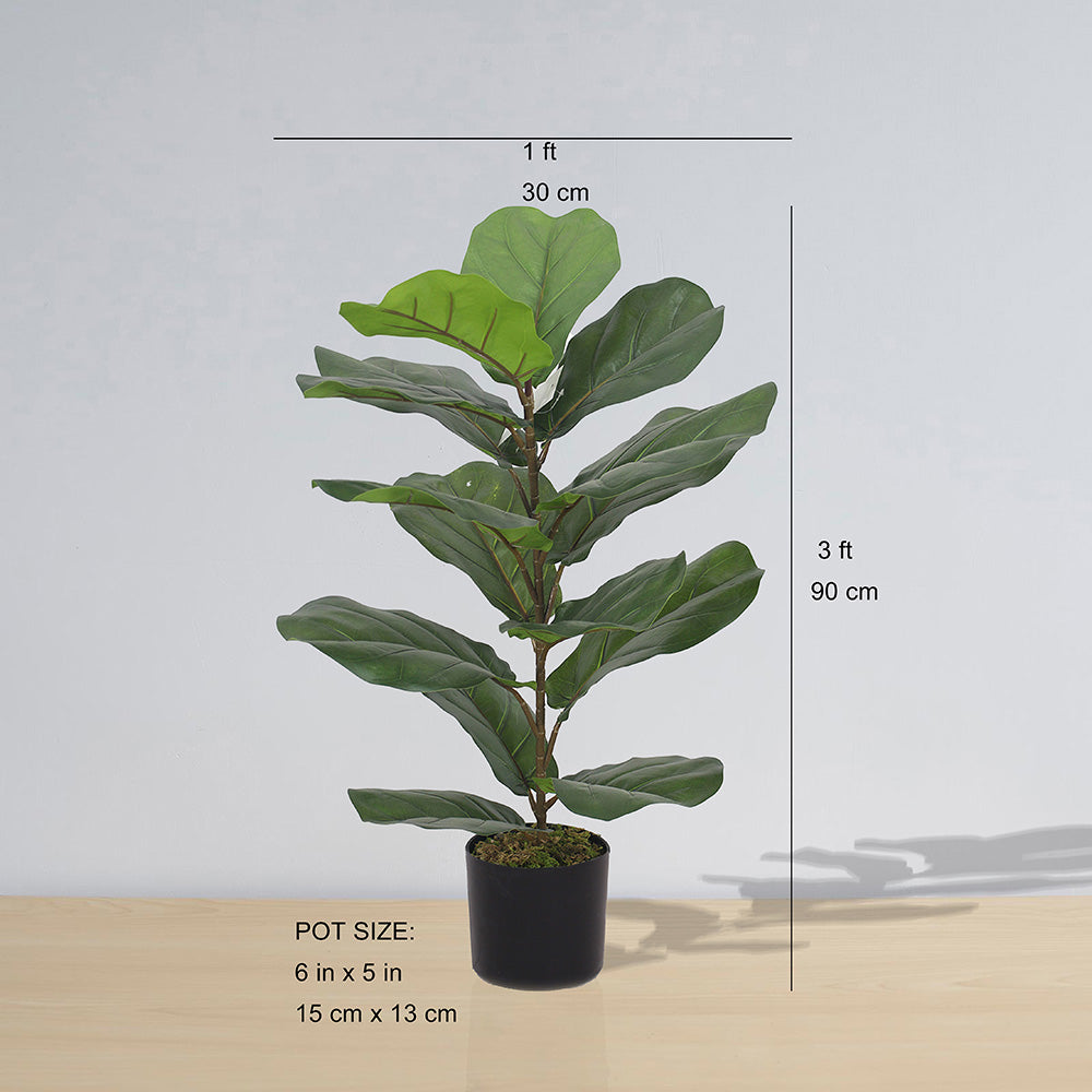 Anza Artificial Fiddle Leaf Potted Plant (Multiple Sizes)