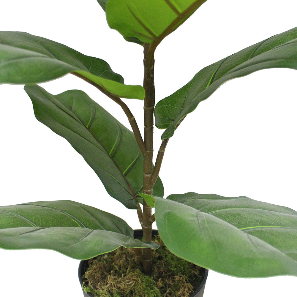 Anza Artificial Fiddle Leaf Potted Plant (Multiple Sizes)