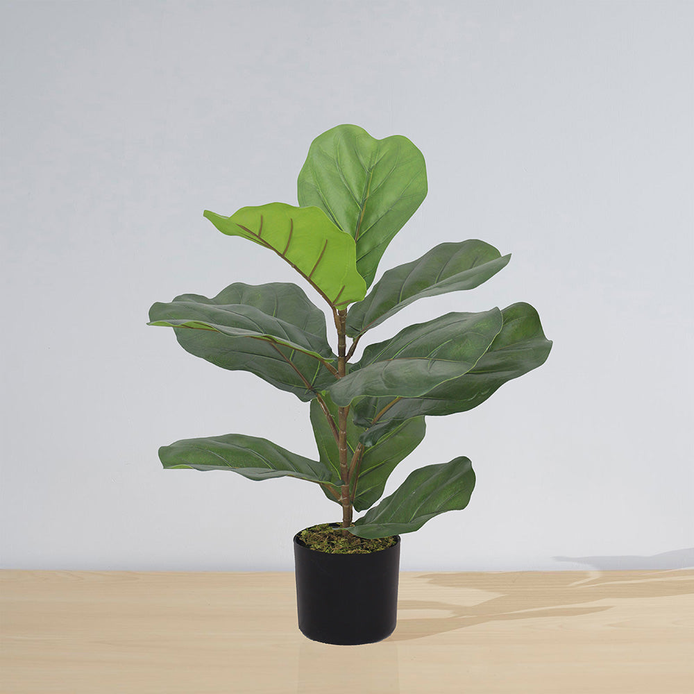 Anza Artificial Fiddle Leaf Potted Plant (Multiple Sizes)