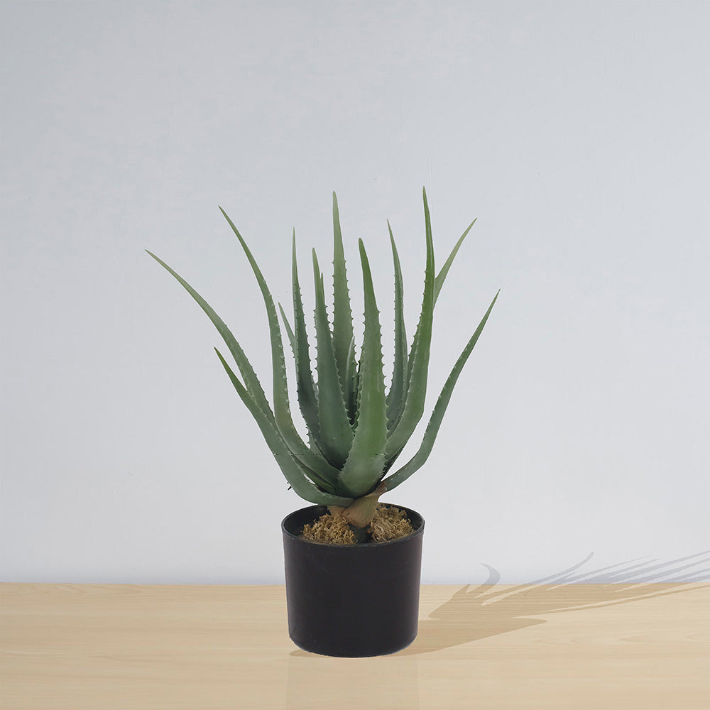 Guamo Artificial Aloe Vera Potted Plant (Multiple Sizes)