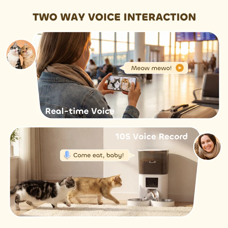 Automatic Cat Feeder for 2 Cats with HD Camera,2.4G & 5G WiFi Pet Food Dispenser 6L APP Control