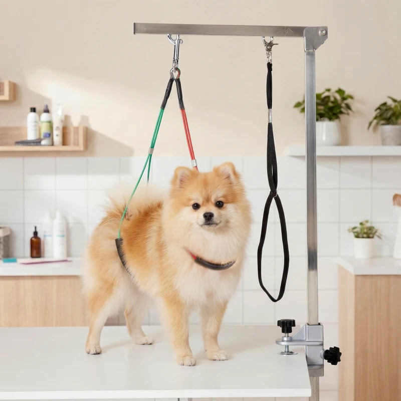 Adjustable Pet Grooming Arm, with Clamp, Haunch Holders & Grooming Loop - Sliver