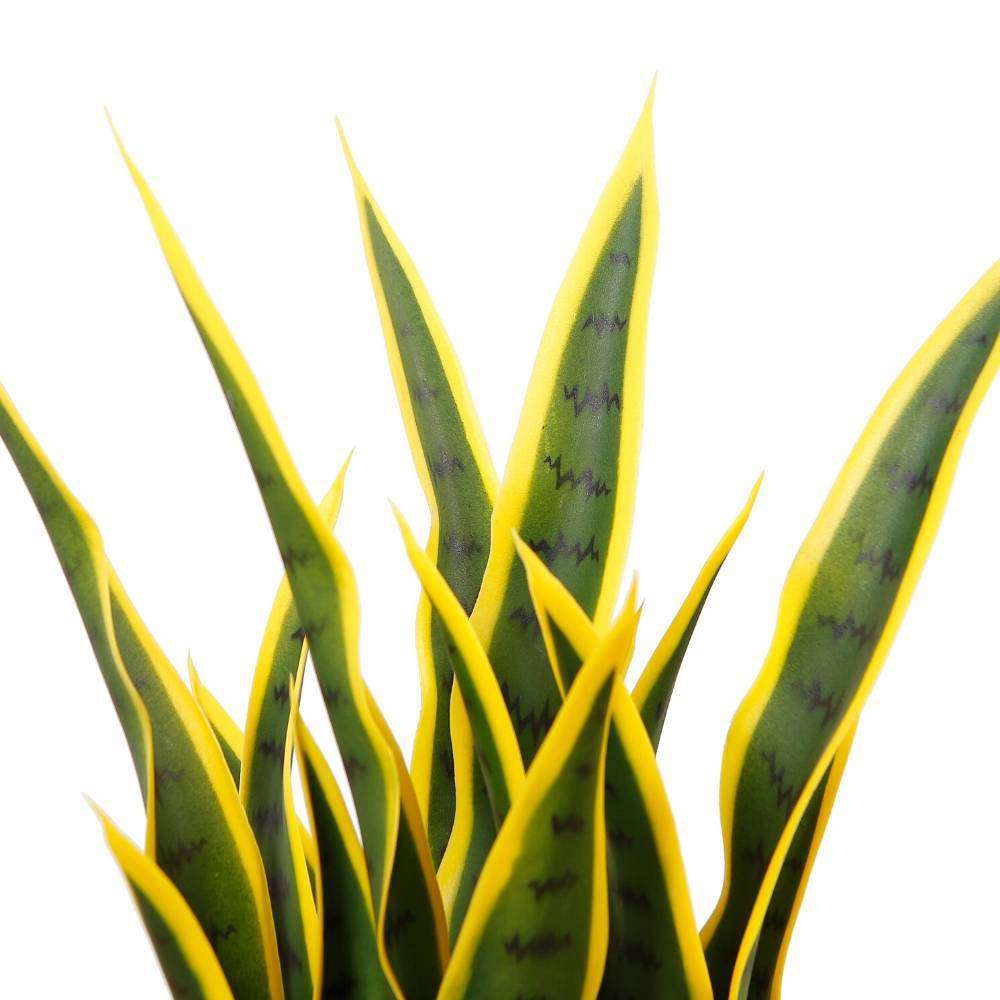 Luis Artificial Snake Sansevieria Yellow & Green Potted Plant 26"