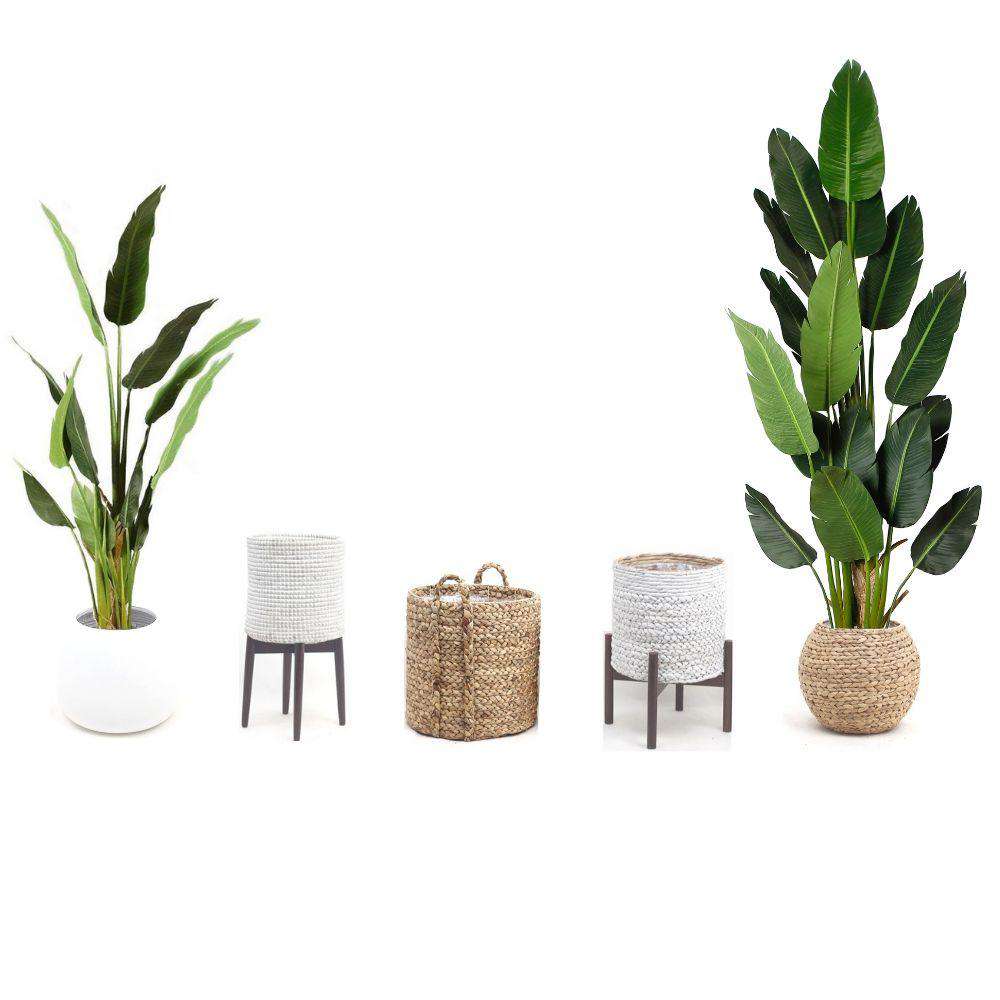 Maza Artificial Bird Of Paradise Potted Plant (Multiple Sizes)