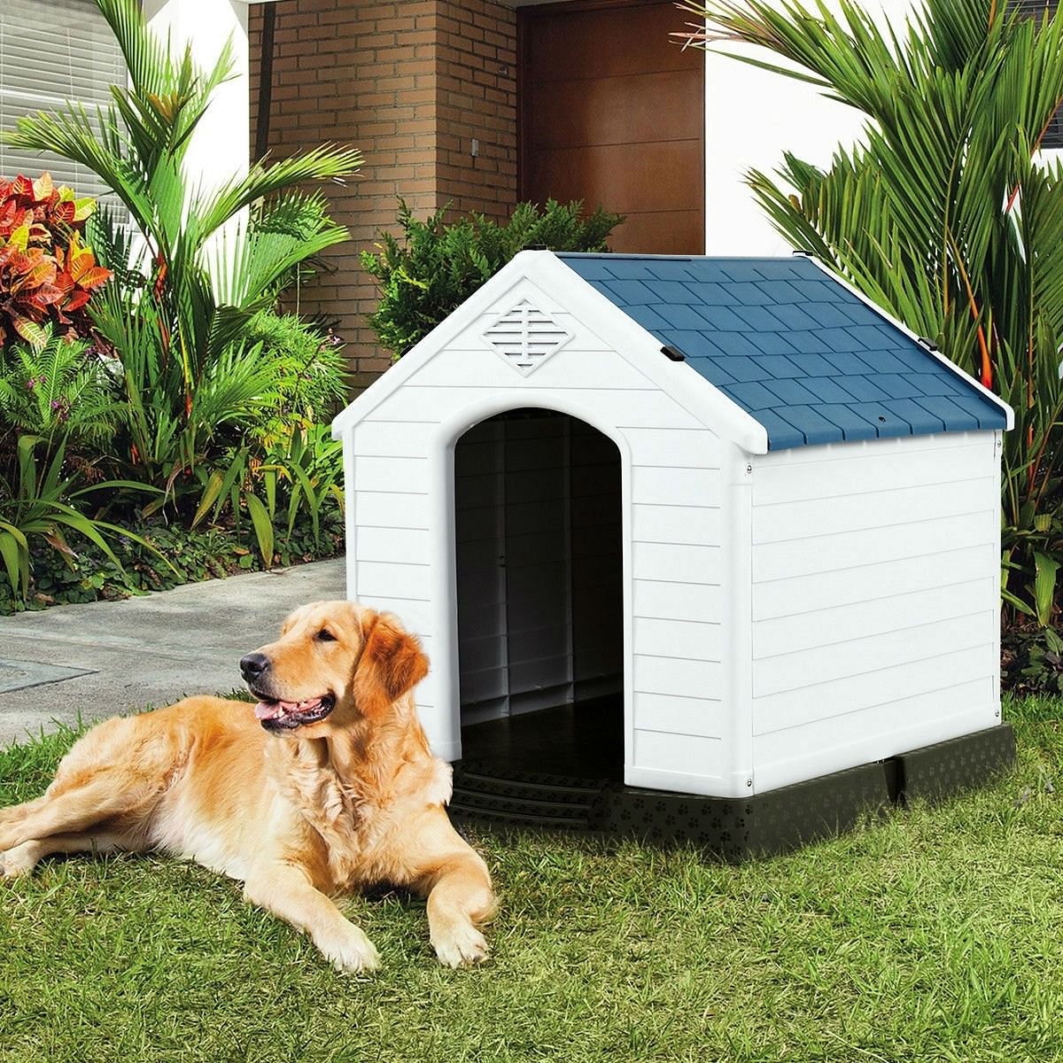 Medium size Dog House Outdoor White Blue Plastic with Elevated Floor - Free Shipping