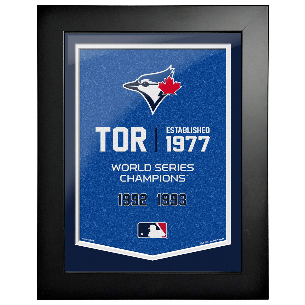 Toronto Blue Jays 12x16 Team Empire Framed Artwork