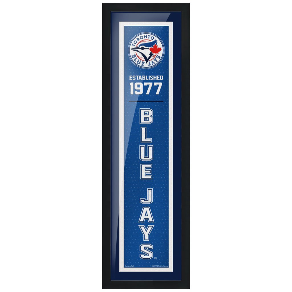 Toronto Blue Jays 6" x 22" Established Framed Sign