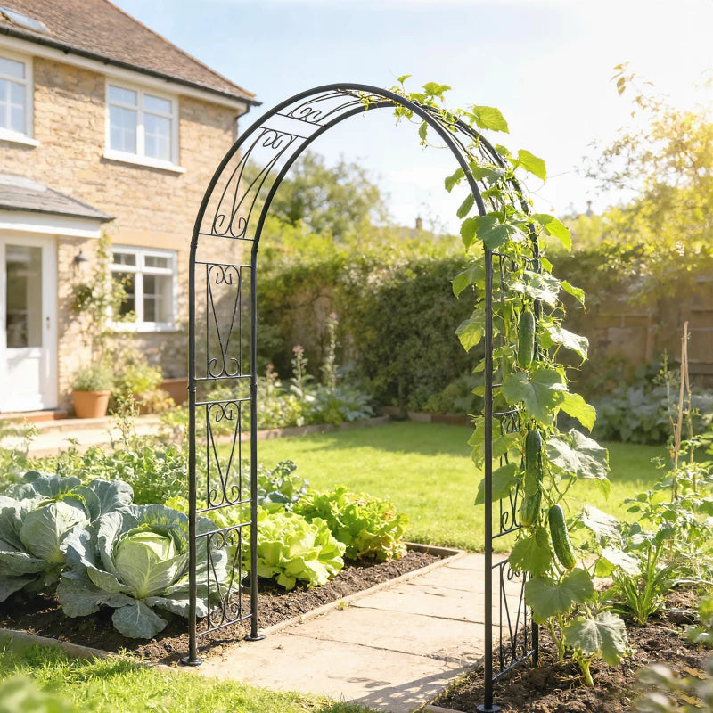 8 ft Garden Arch, Outdoor Trellis Arbor for Climbing Plants, Wedding Arch for Party Outdoor Garden Backyard, Black