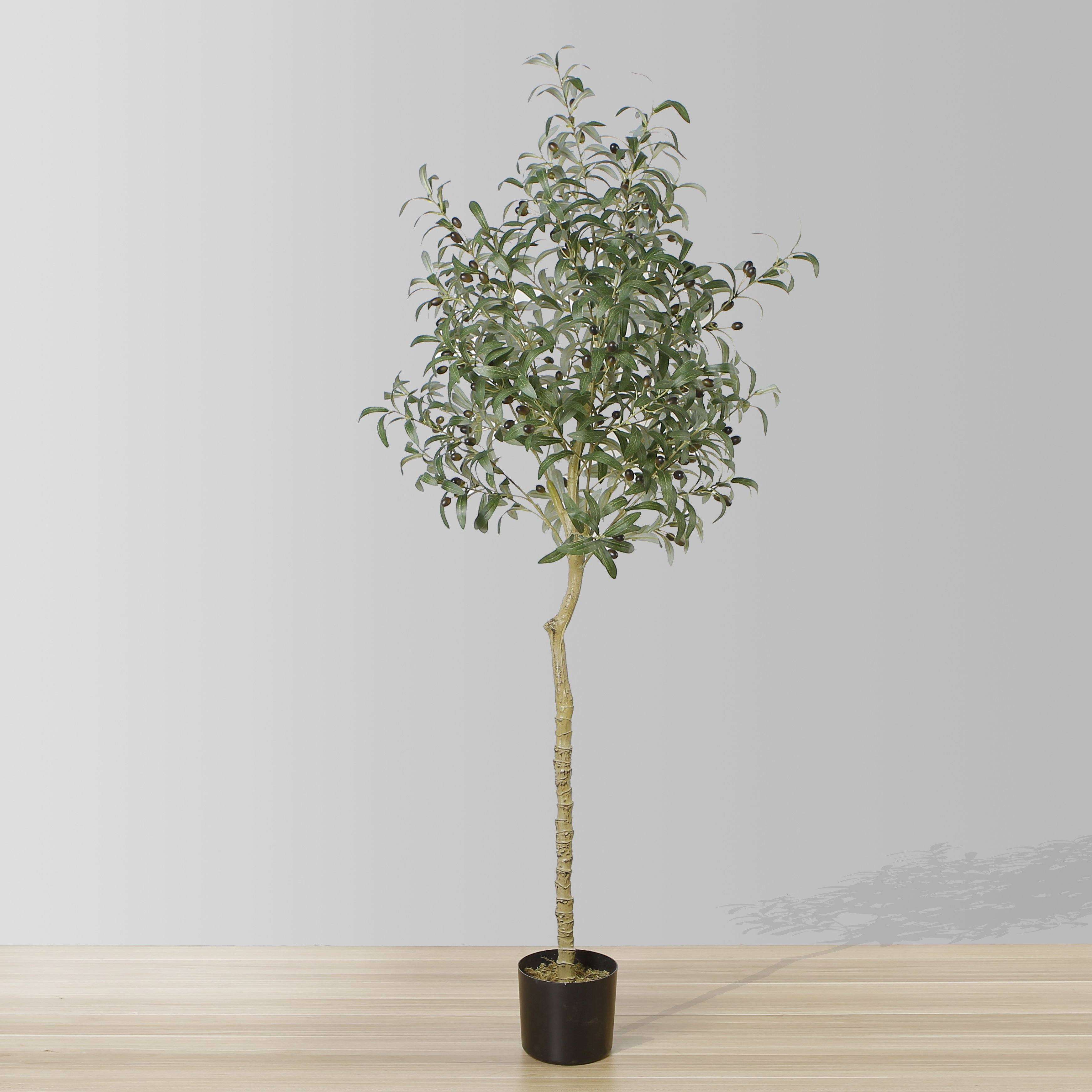 Oli Artificial Olive Tree Potted Plant (Multiple Sizes)