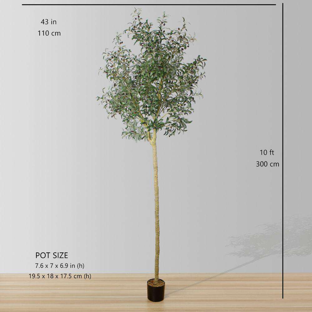 Olidia Artificial Olive Tree 10'