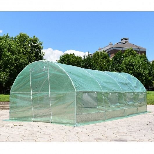 10 x 6.5 x 20 Feet 8 Windows Backyard Walk-in Greenhouse - Free Shipping