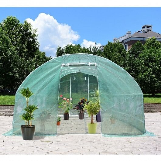 10 x 6.5 x 20 Feet 8 Windows Backyard Walk-in Greenhouse - Free Shipping