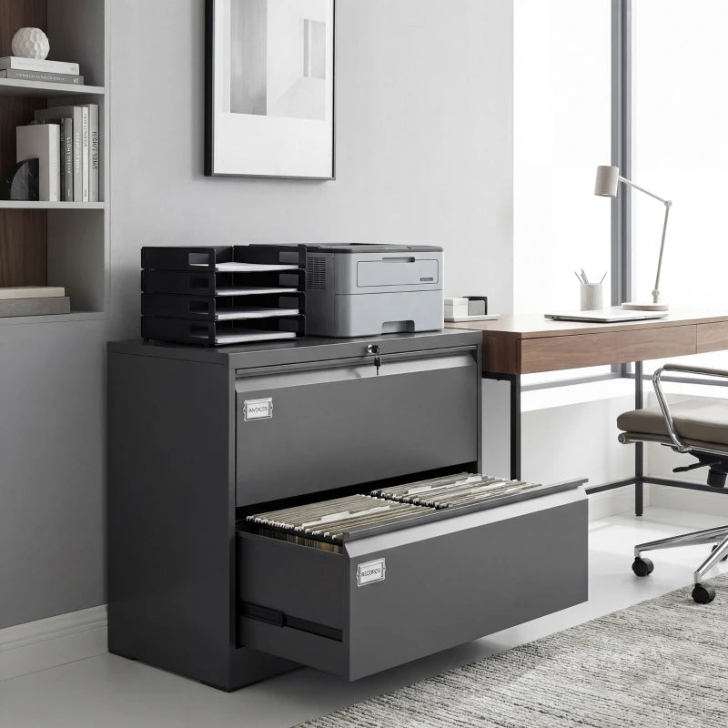 Lateral Filing Cabinet with 2 Drawers, Lockable Steel File Cabinet for A4/Letter/Legal Size Files, Black