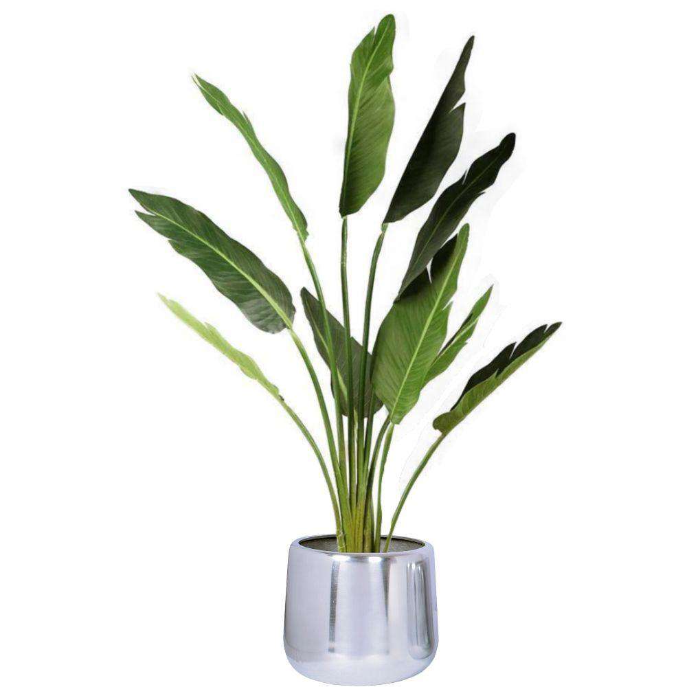 Paola - Brass Floor Planter (Multiple Sizes)