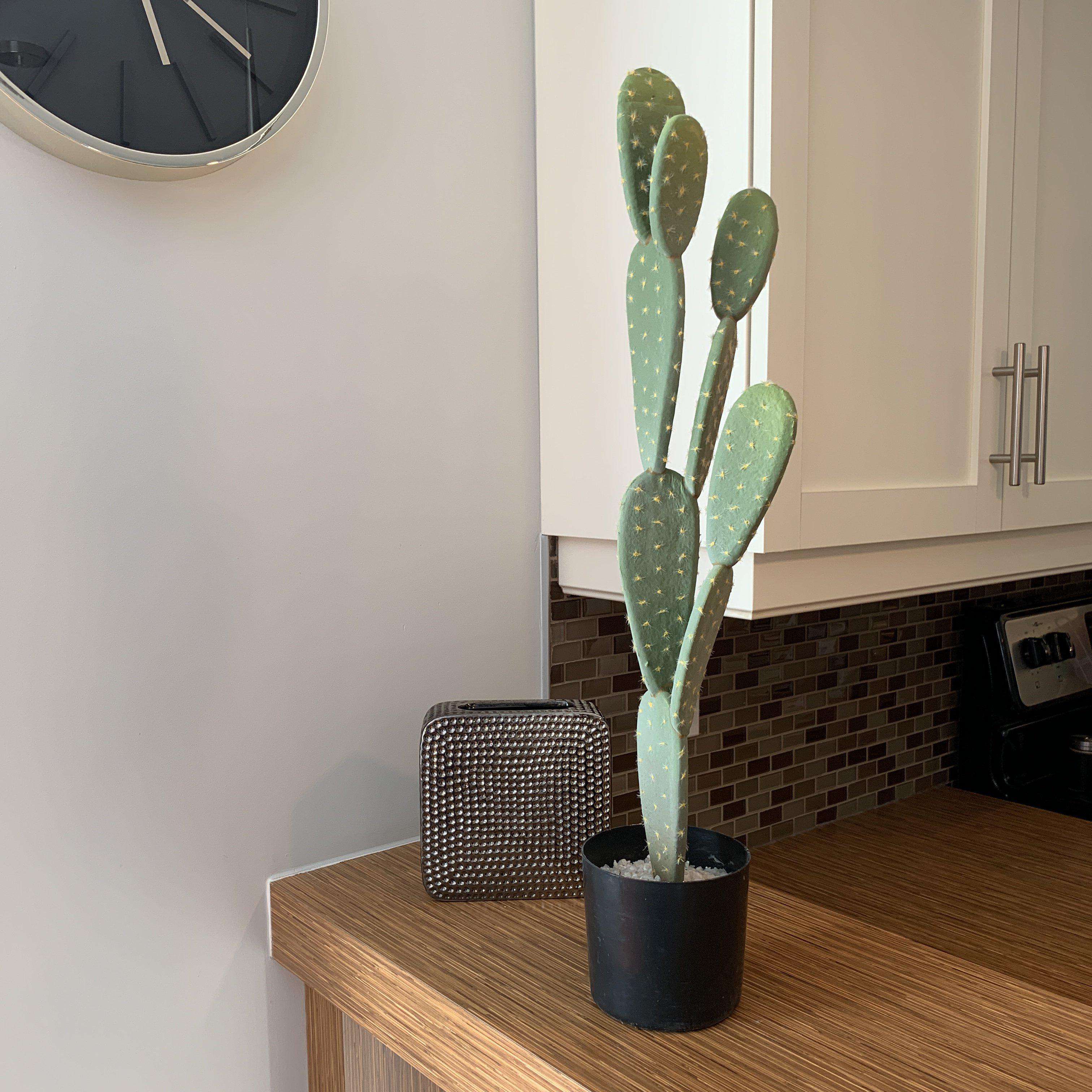 Penka Artificial Cactus Potted Plant 26''