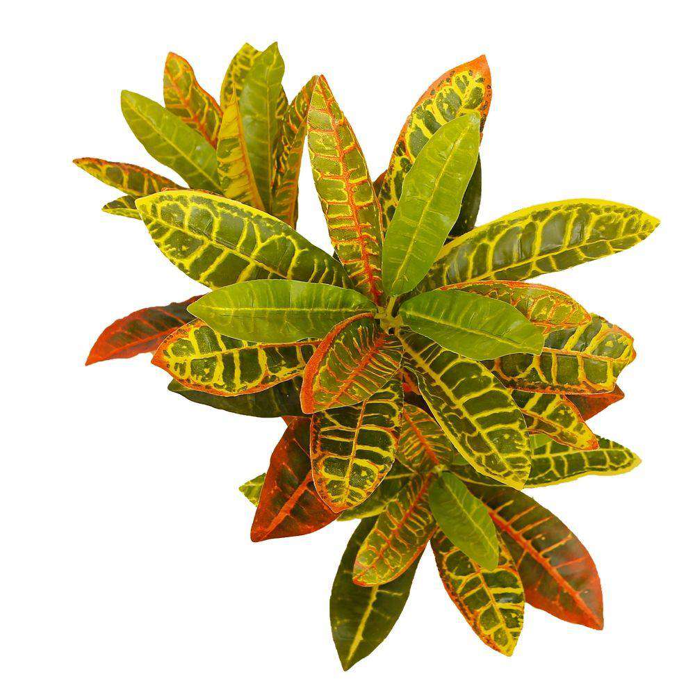 Pinto Artificial Crotons Potted Plant 22"