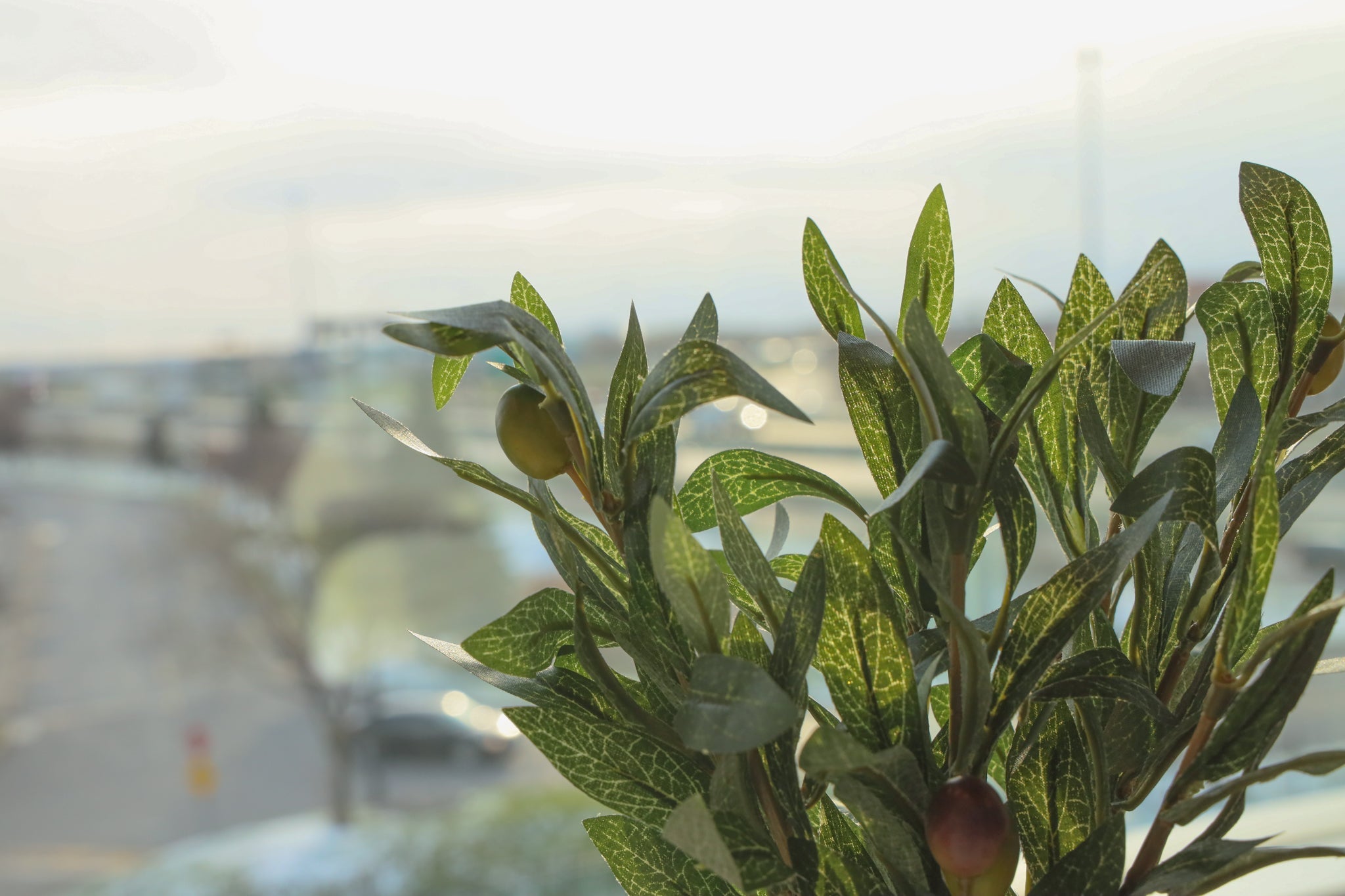 Burbank Artificial Olive Stem Bouquet 14'' X 8''(Set Of 3)