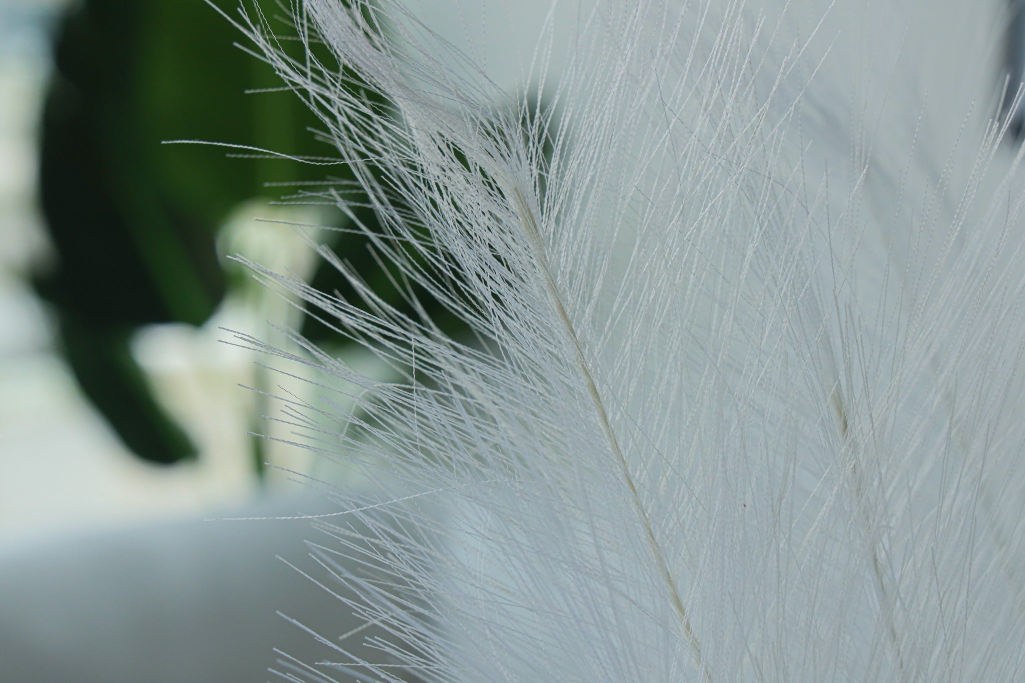 Artificial Pampas Grass Arrangement Ivory (2 Sizes)