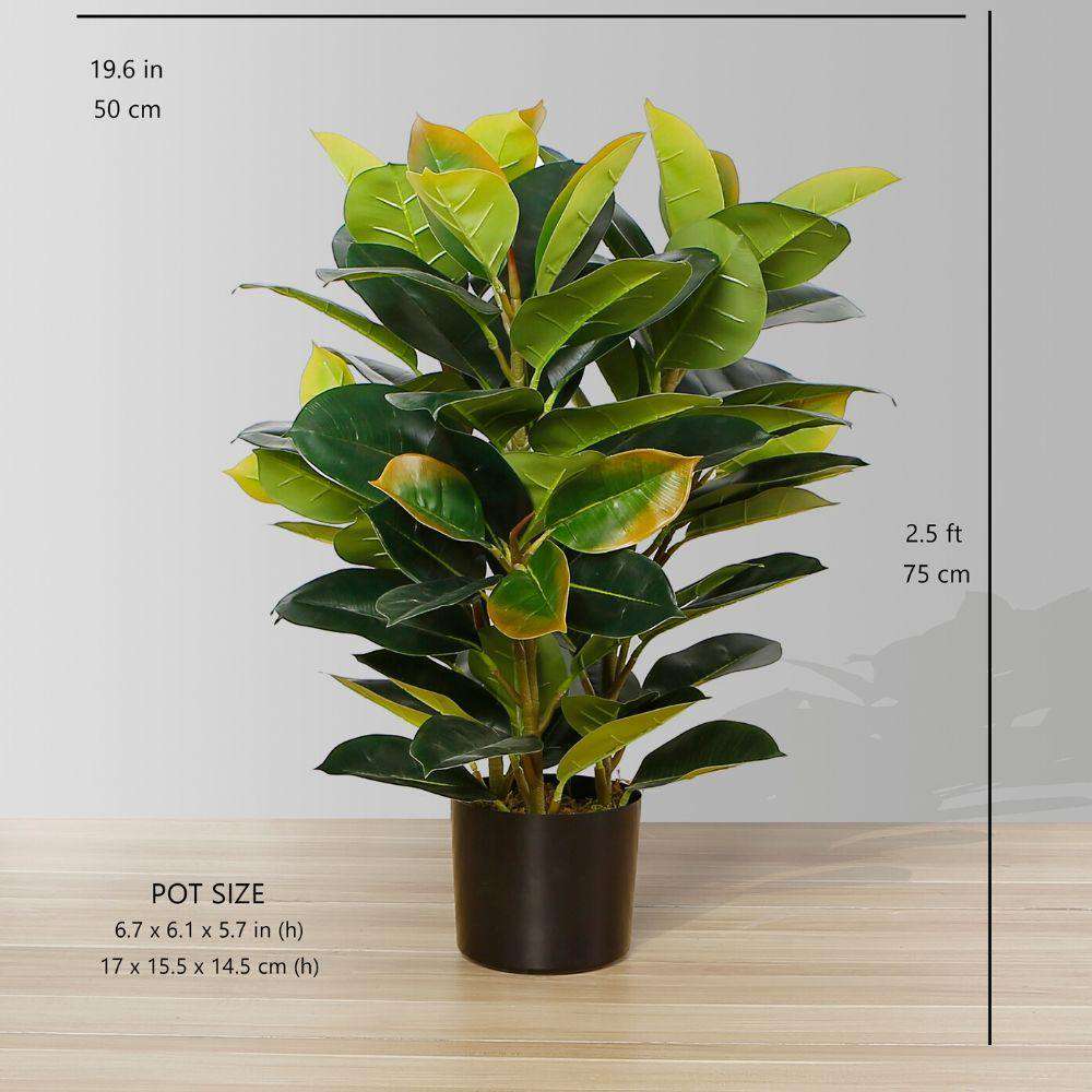 Rubi Artificial Rubber Potted Plant 2.5'