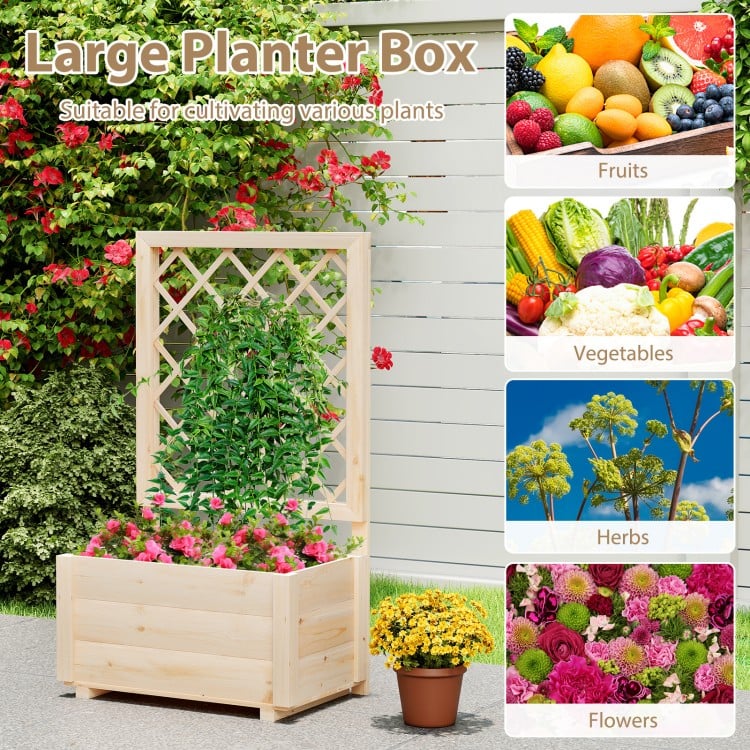 Raised Garden Bed Wooden Elevated Planter Box with Lattice Trellis-S