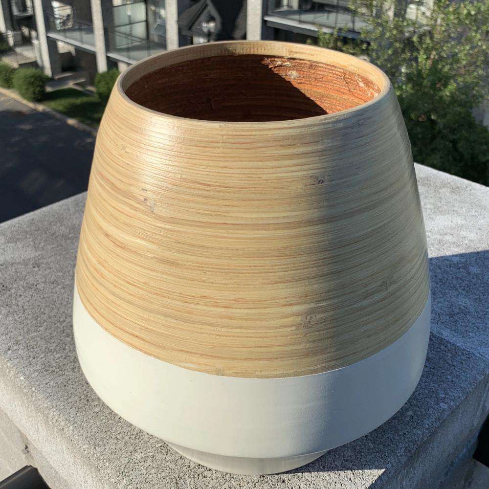 Sal M - Bamboo Floor Planter