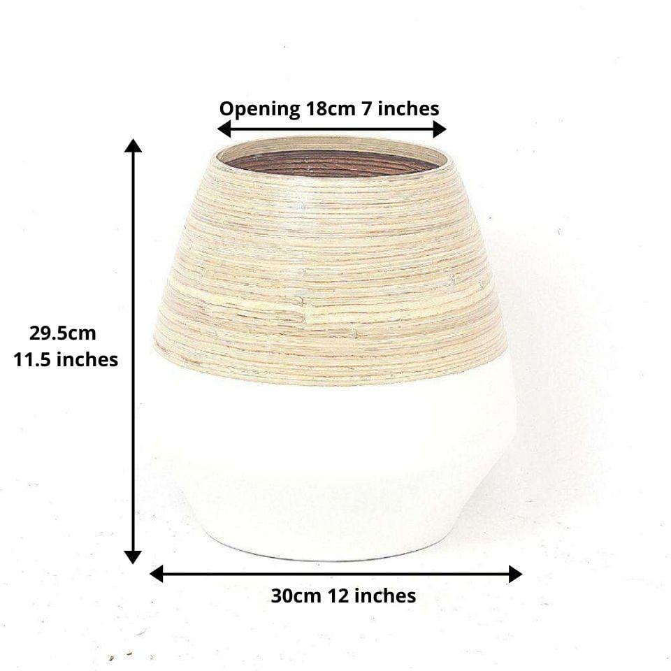 Sal M - Bamboo Floor Planter