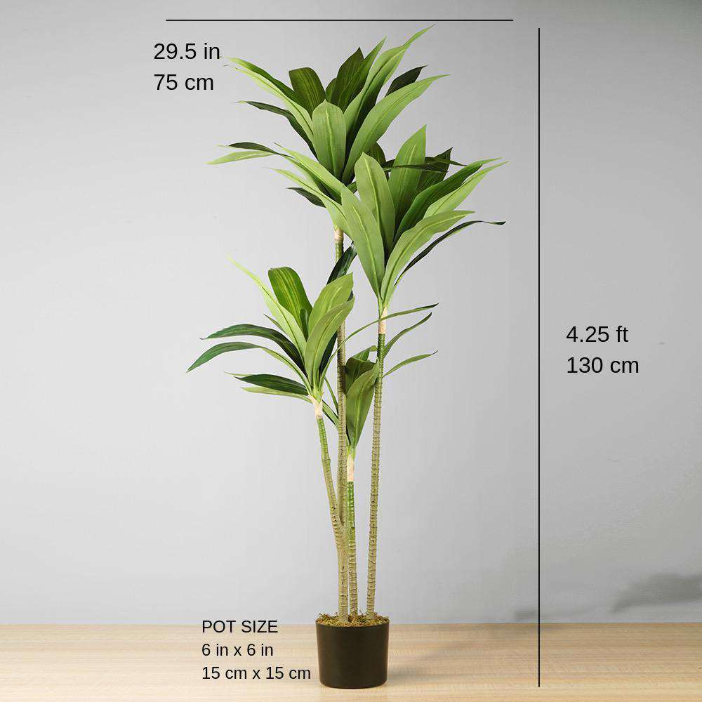 Samy Artificial Dracaena Fragrans Potted Plant 51''