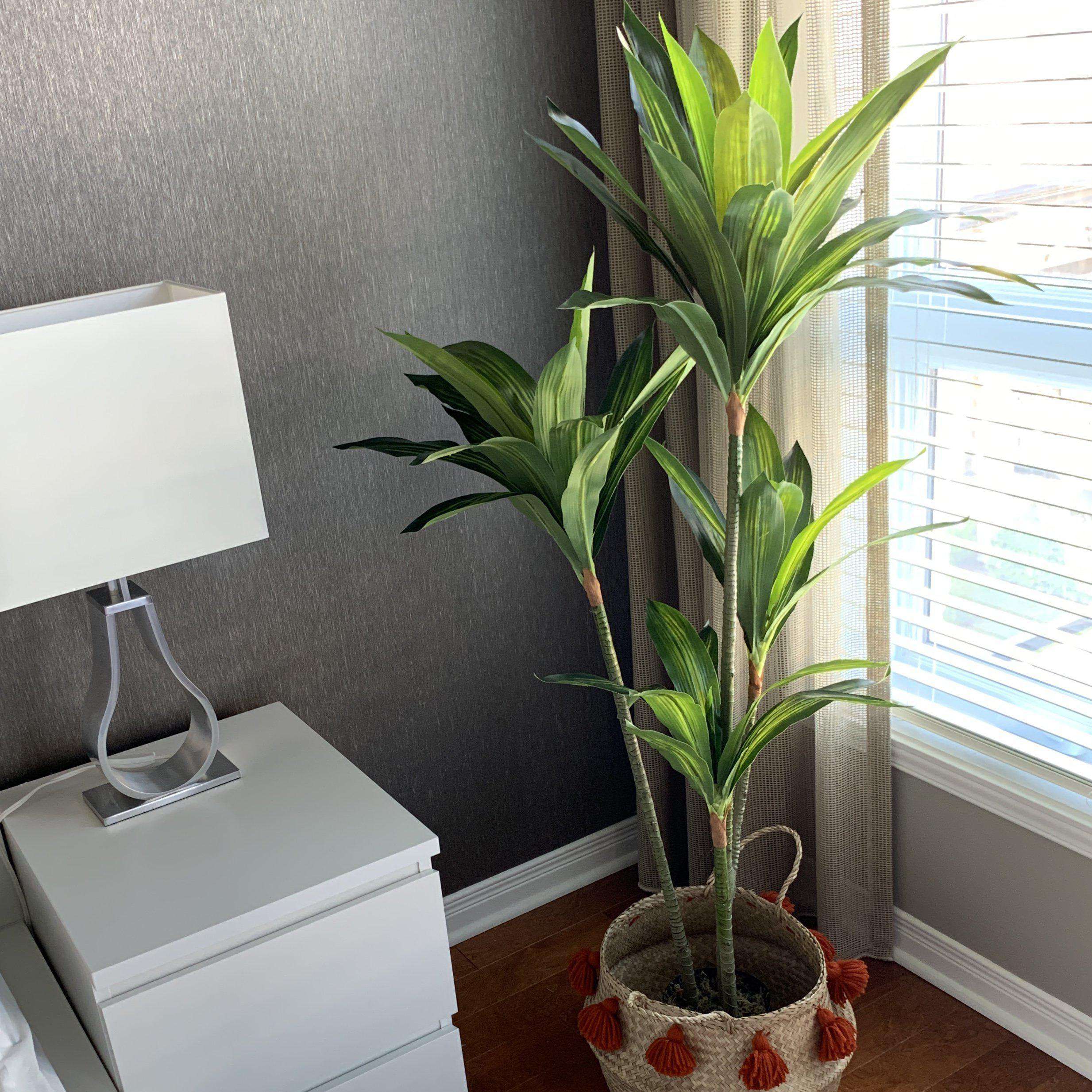 Samy Artificial Dracaena Fragrans Potted Plant 51''