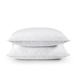 Set of 2 Machine Washable Down Feather Blend Pillow in Standard/Queen size - Free Shipping