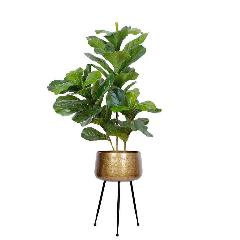 Sara - Brass Planter With Black Legs