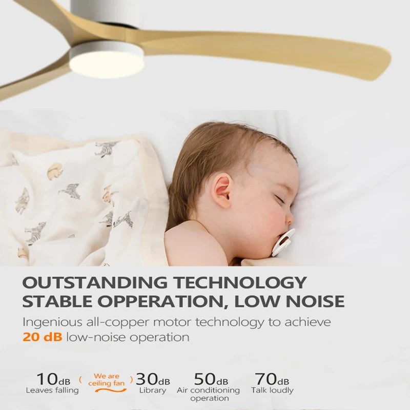 46 Inch Low Floor Ceiling Fan Light – Modern Black ABS Blade, DC Motor, Remote Control, LED Fan Lights, for Restaurant and Bedroom, 110V/220V