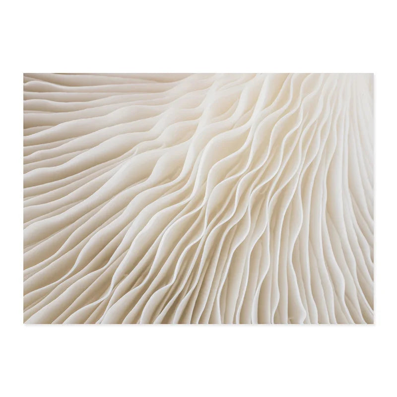 43285224685615|43285224751151|43285224783919|43285224914991|43285224947759