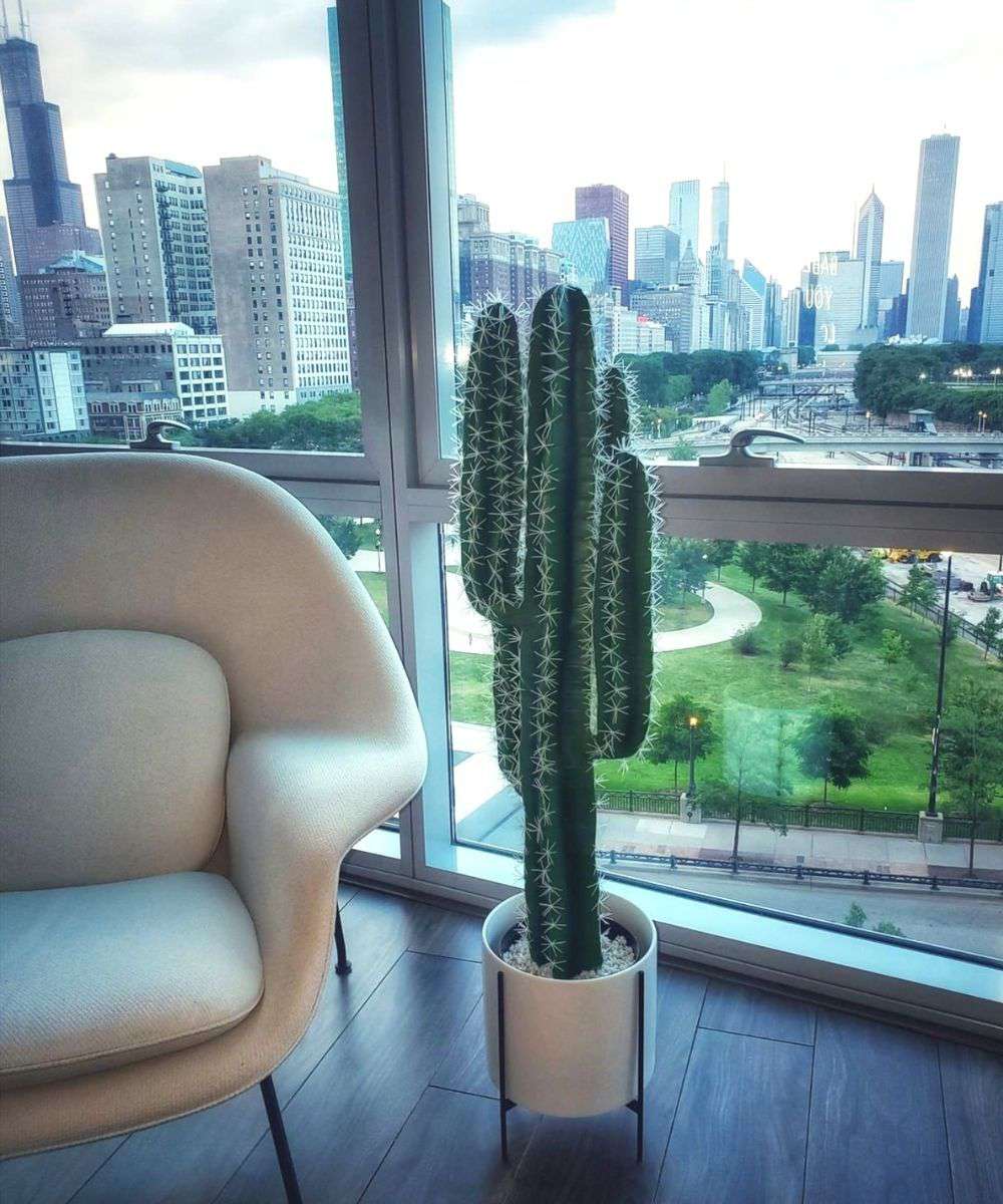 Tito Artificial Cactus Potted Plant 41''