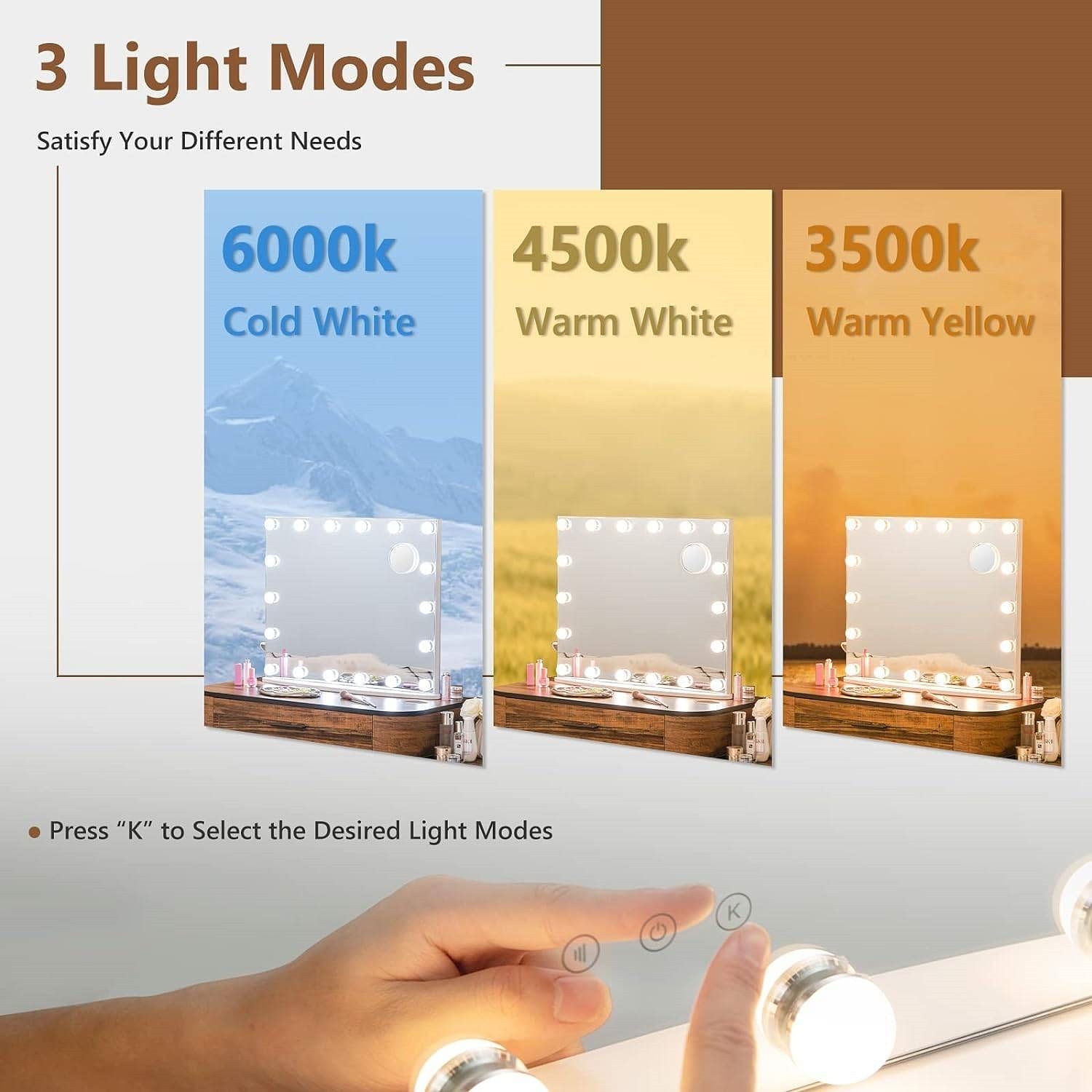 21 x 26 in Bathroom Mirror w/ Dimmable Lights + Removable 3X Magnifying Mirror - Free Shipping
