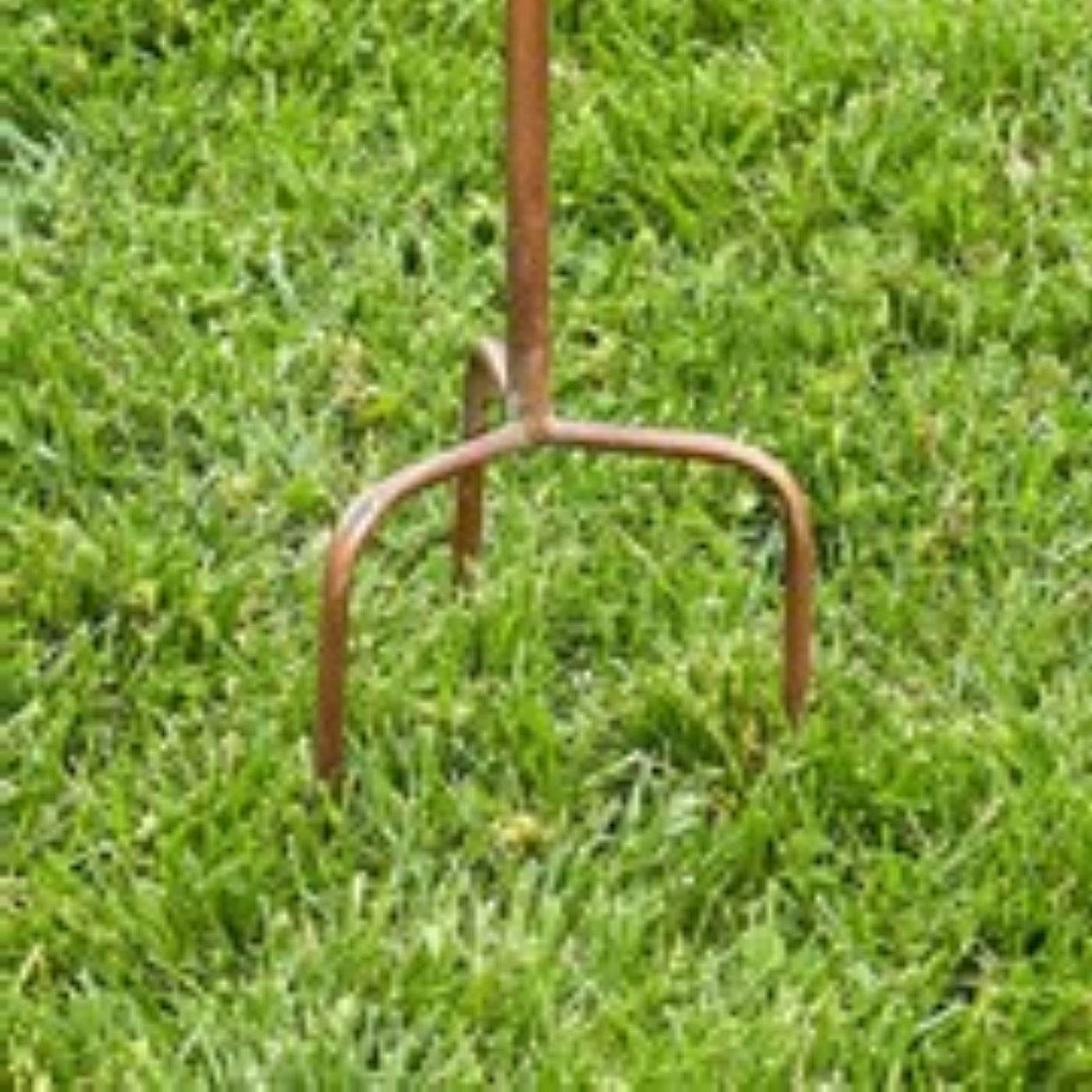 Cast Iron Metal Birdhouse with Pole and Stake in Copper Finish - Free Shipping