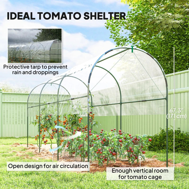Tunnel Tomato Greenhouse with 4 Hoops and Top Tap, Pointed Bottom and Guy Ropes, 157.5" x 47.2" x 66.9", Clear