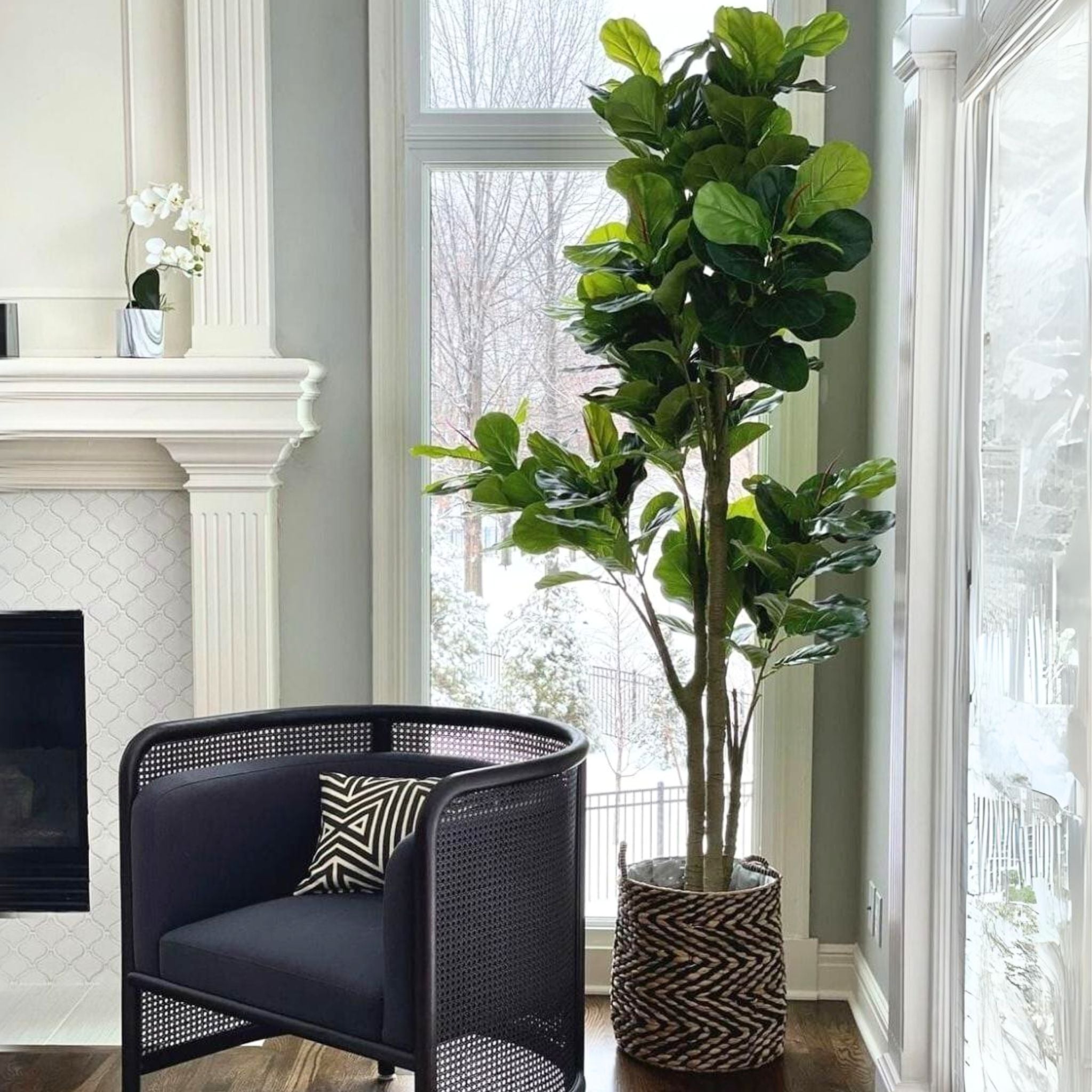 Nora Artificial Fiddle Leaf Potted Plant (Multiple Sizes)