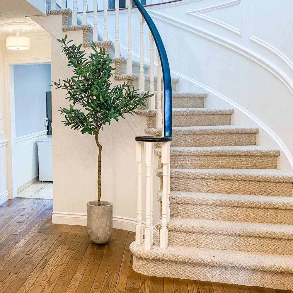 Xaca Cement Planter 10''