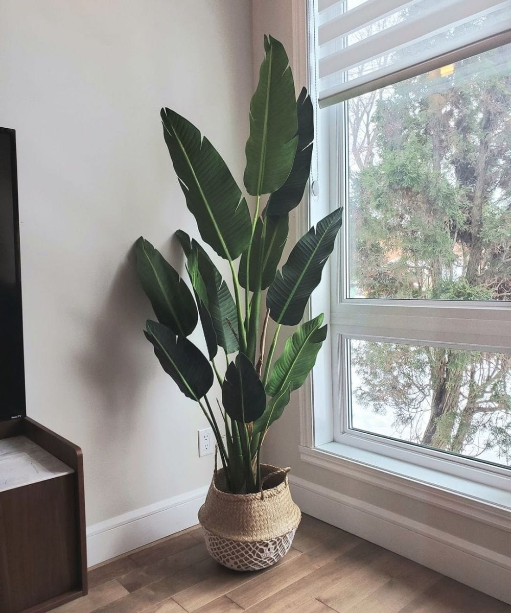 Zapo Artificial Bird Of Paradise Potted Plant (Multiple Sizes)