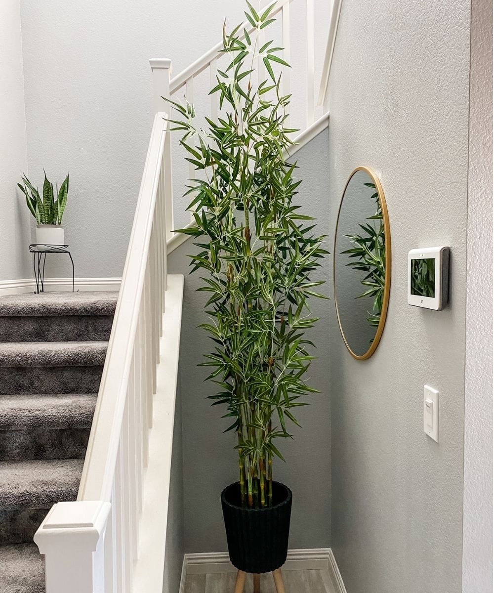 Osos Artificial Korea Bamboo Potted Plant (Multiple Sizes)