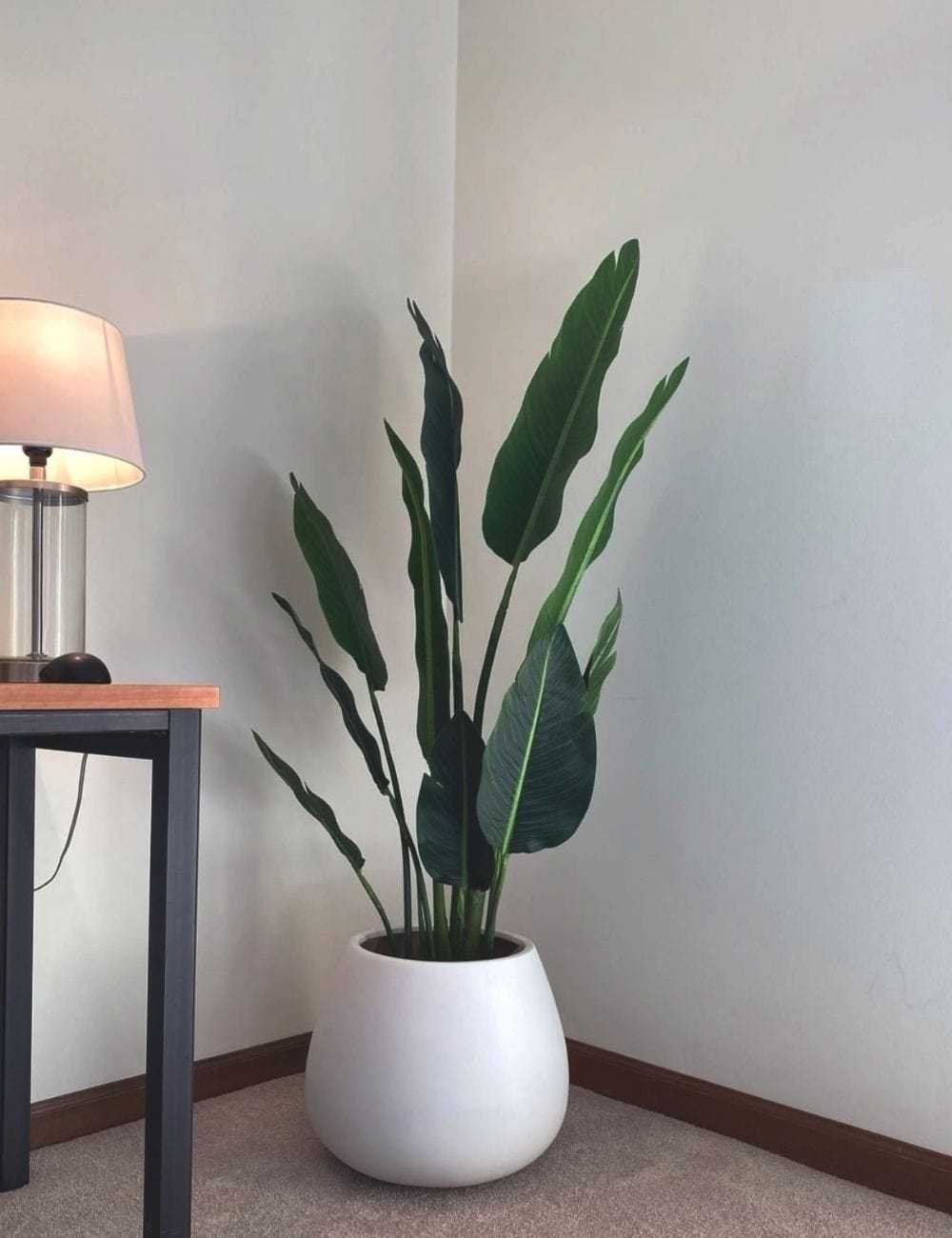 Zapo Artificial Bird Of Paradise Potted Plant (Multiple Sizes)