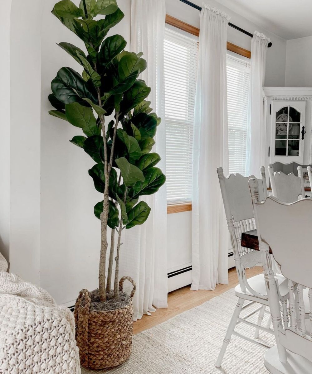 Cece - Water Hyacinth Planter